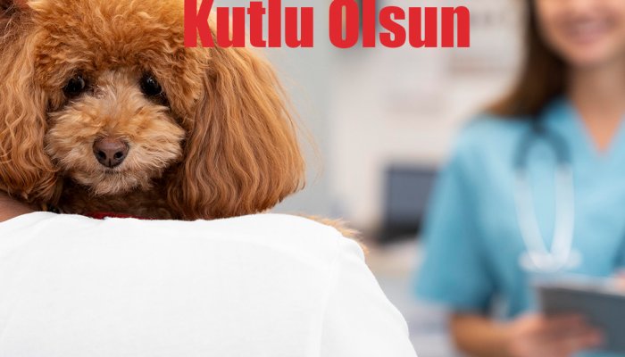 Dünya Veteriner Hekimler Günü Kutlu Olsun, Veteriner Hekimler Günü Ne Zaman?